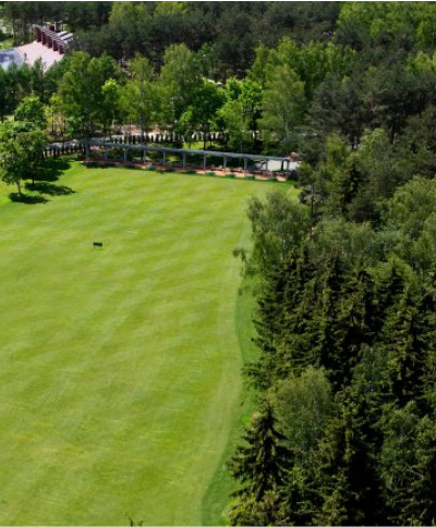 В окружении леса